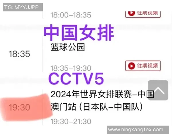 热议排球：广州排球队的配合变革