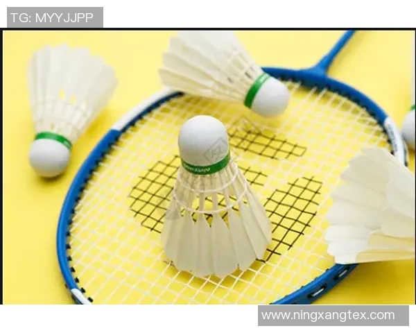 羽毛球新手攻略：耐力入门指南_1