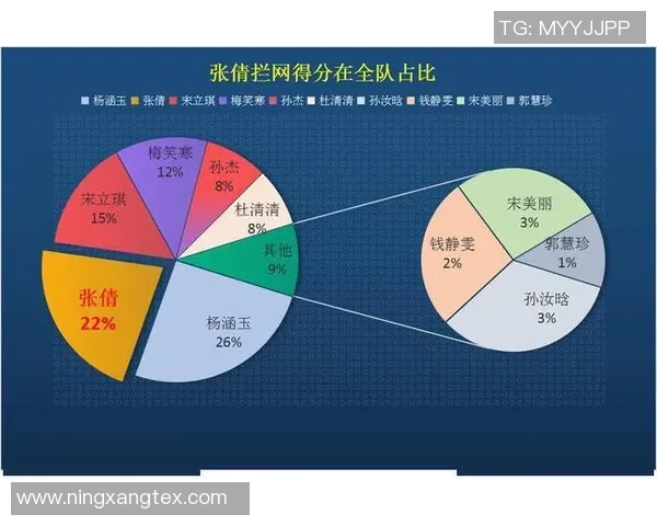 数据分析：深圳排球队的技术表现